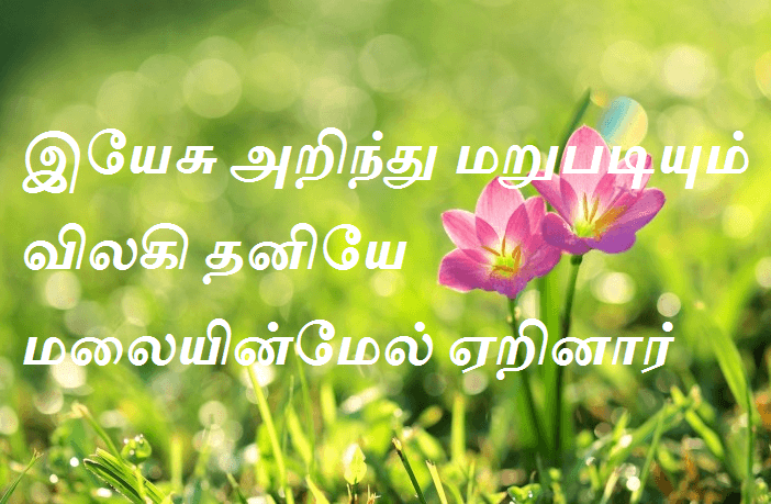 அறிந்து