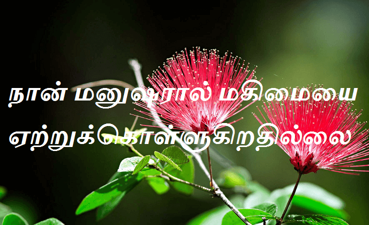 மகிமையை