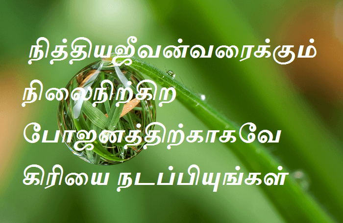 நிலைநிற்கிற