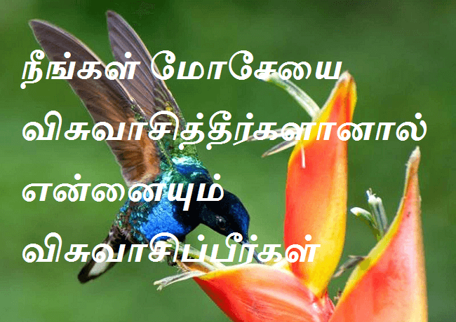 மோசேயை