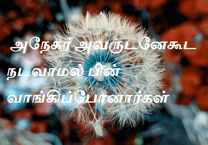பின் வாங்கிப்போனார்கள்