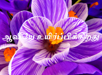 உயிர்ப்பிக்கிறது