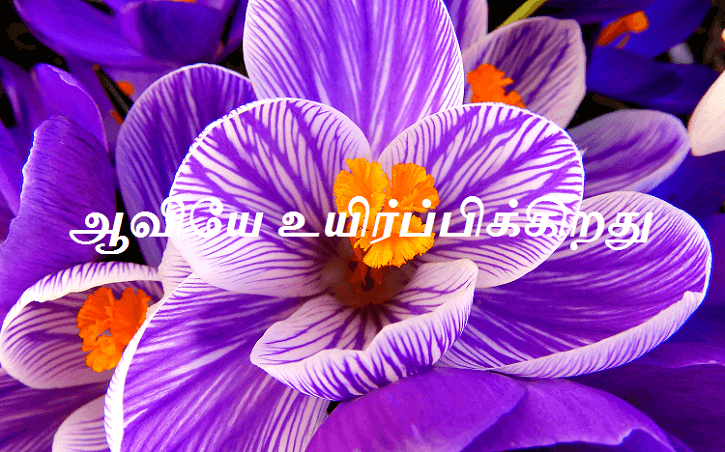 உயிர்ப்பிக்கிறது
