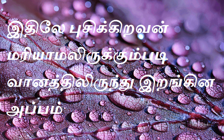 இதிலே புசிக்கிறவன் மரியாமலிருக்கும்படி வானத்திலிருந்து இறங்கின அப்பம்