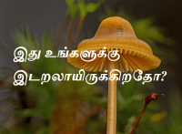 இடறலாயிருக்கிறதோ