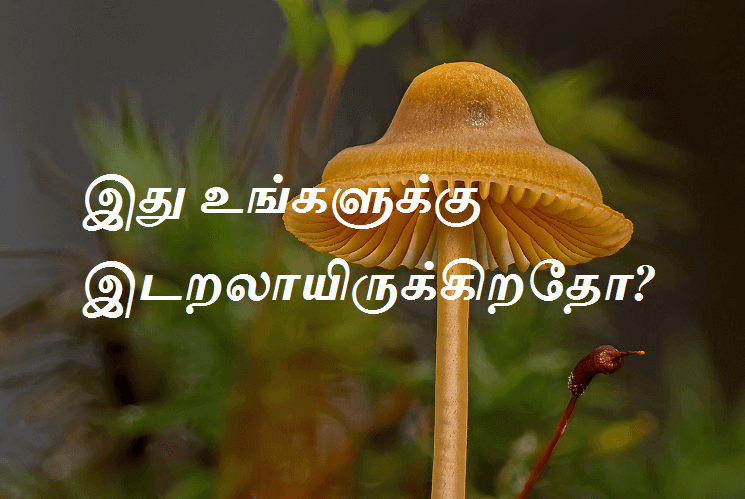 இடறலாயிருக்கிறதோ