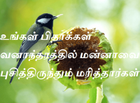 உங்கள் பிதாக்கள் வனாந்தரத்தில் மன்னாவை புசித்திருந்தும் மரித்தார்கள்.