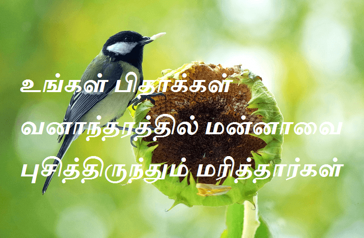 உங்கள் பிதாக்கள் வனாந்தரத்தில் மன்னாவை புசித்திருந்தும் மரித்தார்கள்.