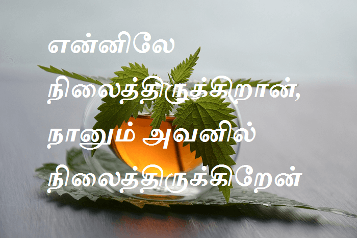 என்னிலே நிலைத்திருக்கிறான், நானும் அவனில் நிலைத்திருக்கிறேன்.