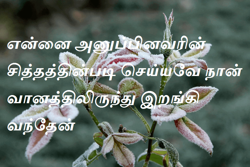 சித்தத்தின்படி