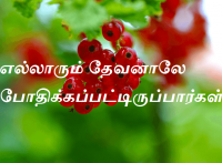 தேவனாலே