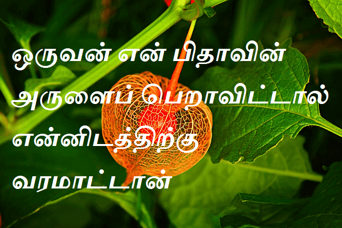 என்னிடத்திற்கு