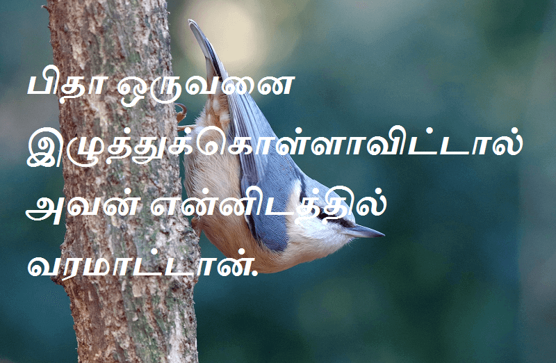 வரமாட்டான்
