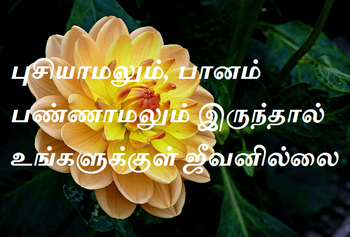 புசியாமலும், பானம் பண்ணாமலும் இருந்தால் உங்களுக்குள் ஜீவனில்லை