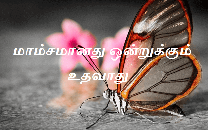 ஒன்றுக்கும்