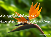 உலகத்தின்