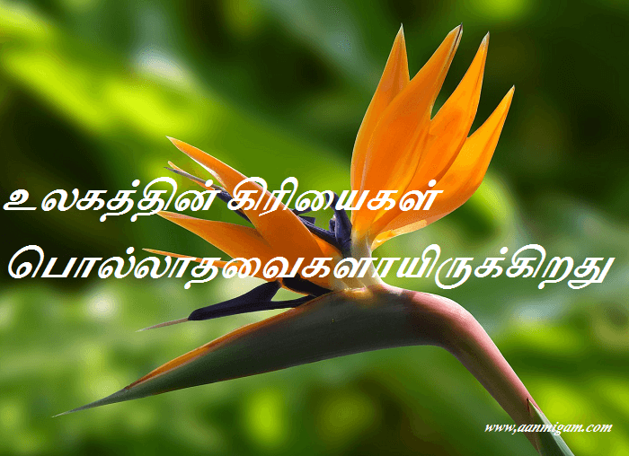 உலகத்தின்