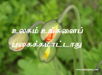 பகைக்கமாட்டாது