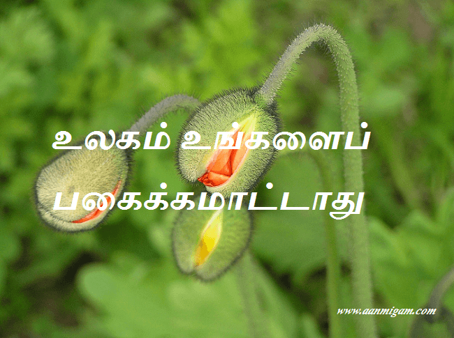 பகைக்கமாட்டாது