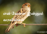 என் வேளை இன்னும் வரவில்லை