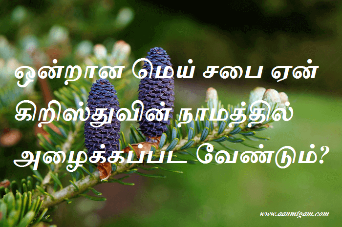 நாமத்தில்