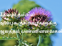 ஆயத்தம் பண்ணினவைகள்