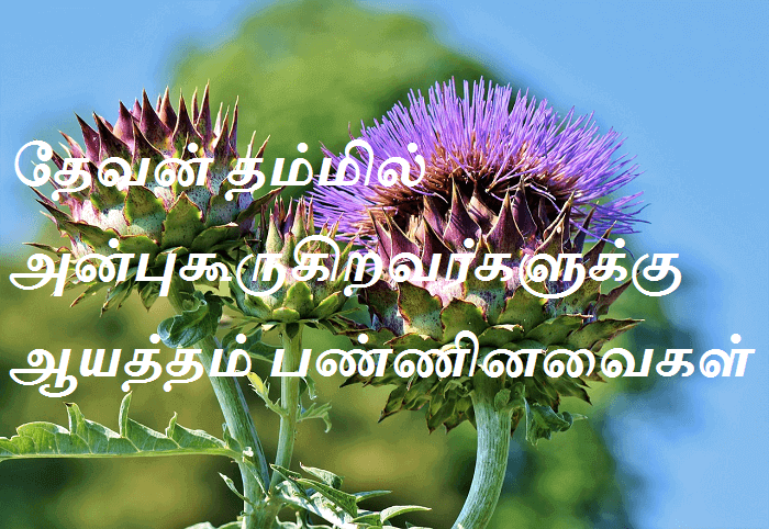 ஆயத்தம் பண்ணினவைகள்