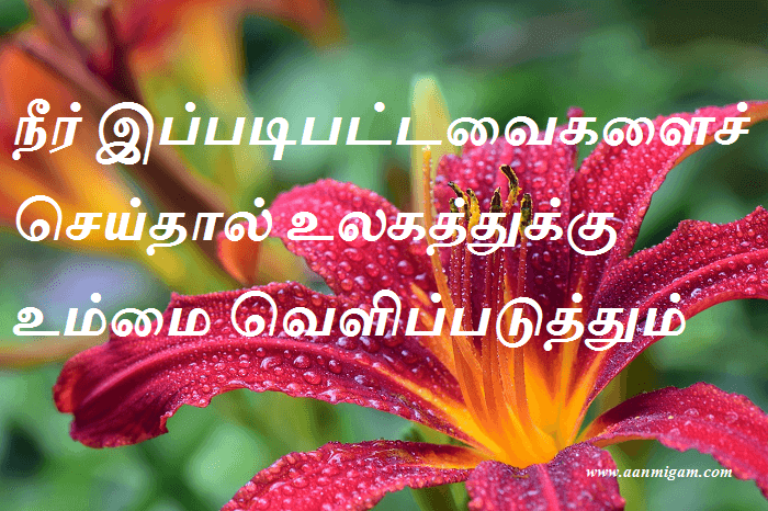 வெளிப்படுத்தும்
