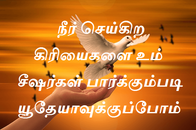 நீர் செய்கிற கிரியைகளை உம் சீஷர்கள் பார்க்கும்படி யூதேயாவுக்குப்போம்