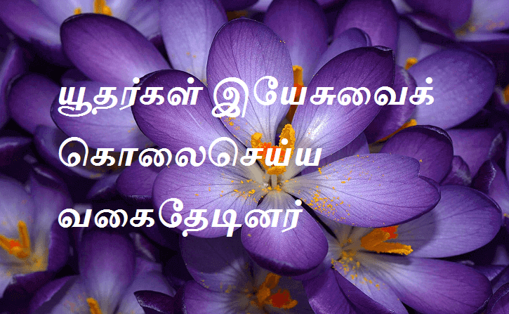 யூதர்கள் இயேசுவைக் கொலைசெய்ய வகைதேடினர்