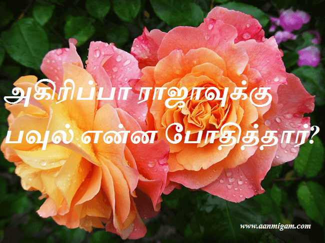 அகிரிப்பா ராஜாவுக்கு பவுல் என்ன போதித்தார்