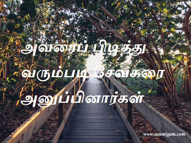 அவரைப் பிடித்து வரும்படி சேவகரை அனுப்பினார்கள்