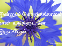 இன்னுங் கொஞ்சக்காலம் நான் உங்களுடனே இருப்பேன்