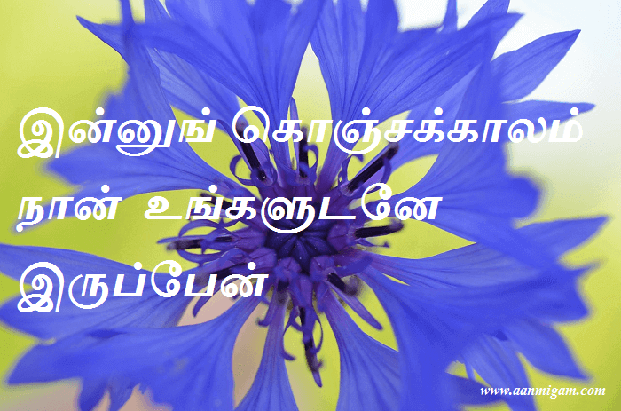 இன்னுங் கொஞ்சக்காலம் நான் உங்களுடனே இருப்பேன்