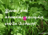 போவார்