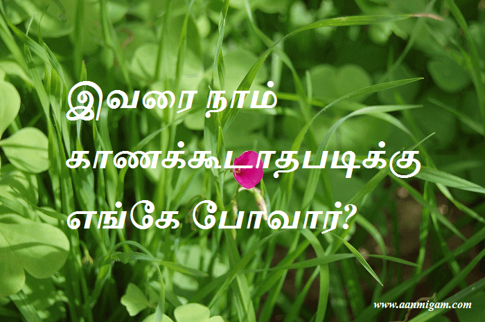 போவார்