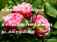 உங்களில் ஒருவனும் அந்த நியாயபிரமாணத்தின்படி நடக்கிறதில்லை