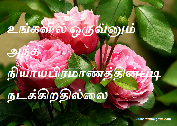 உங்களில் ஒருவனும் அந்த நியாயபிரமாணத்தின்படி நடக்கிறதில்லை