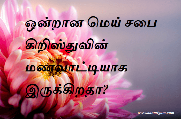ஒன்றான மெய் சபை கிறிஸ்துவின் மணவாட்டியாக இருக்கிறதா