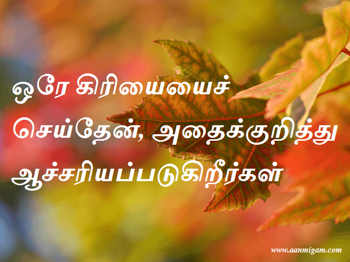 ஒரே கிரியையைச் செய்தேன், அதைக்குறித்து ஆச்சரியப்படுகிறீர்கள்