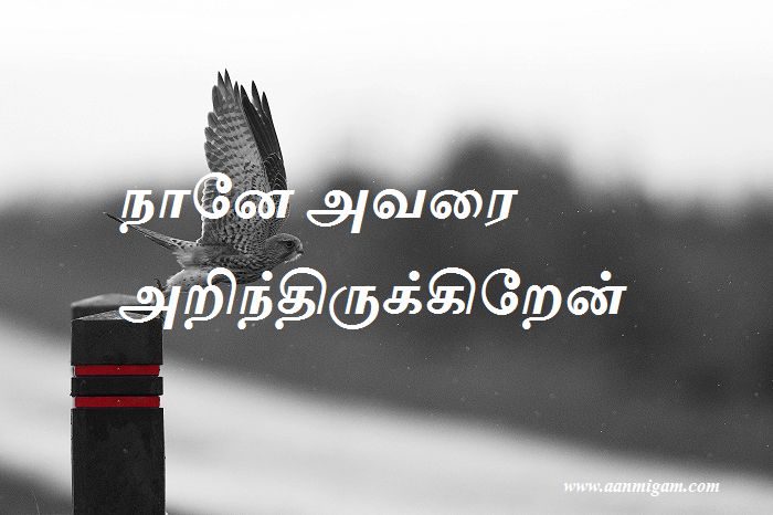 அவரை அறிந்திருக்கிறேன்