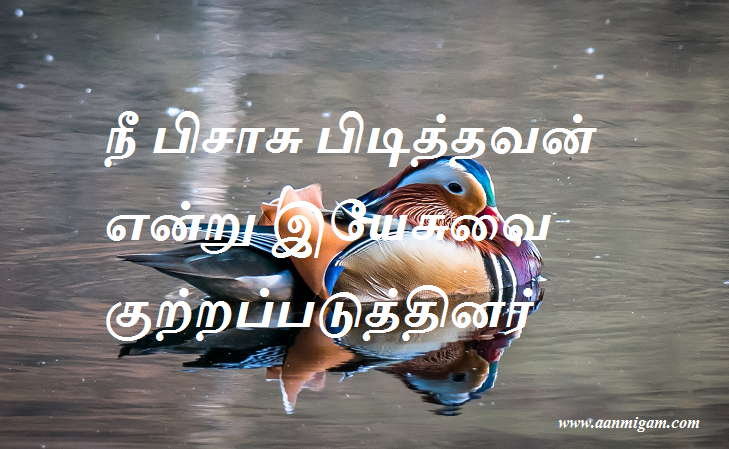 நீ பிசாசு பிடித்தவன் என்று இயேசுவை குற்றப்படுத்தினர்