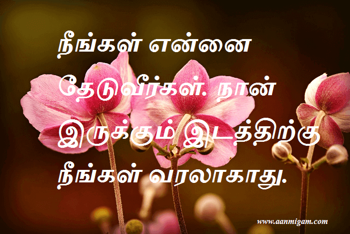 நீங்கள் என்னை தேடுவீர்கள். நான் இருக்கும் இடத்திற்கு நீங்கள் வரலாகாது.