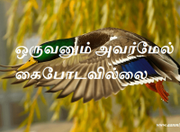 அவர்மேல் கைபோடவில்லை