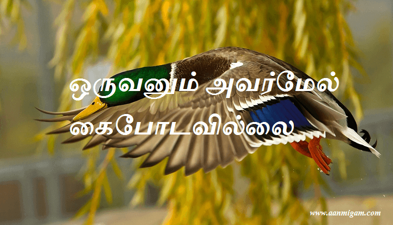 அவர்மேல் கைபோடவில்லை