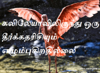கலிலேயாவிலிருந்து ஒரு தீர்க்கதரிசியும் எழும்புகிறதில்லை