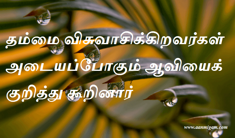 விசுவாசிக்கிறவர்கள்