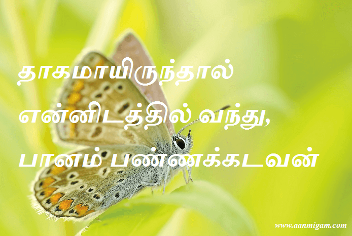 தாகமாயிருந்தால் என்னிடத்தில் வந்து, பானம் பண்ணக்கடவன்.