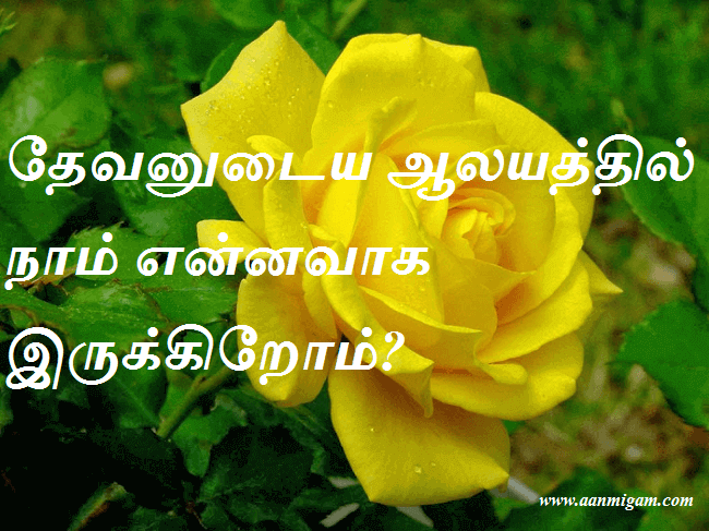 ஆலயத்தில்