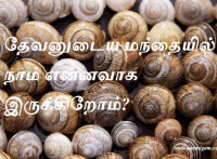 மந்தையில்